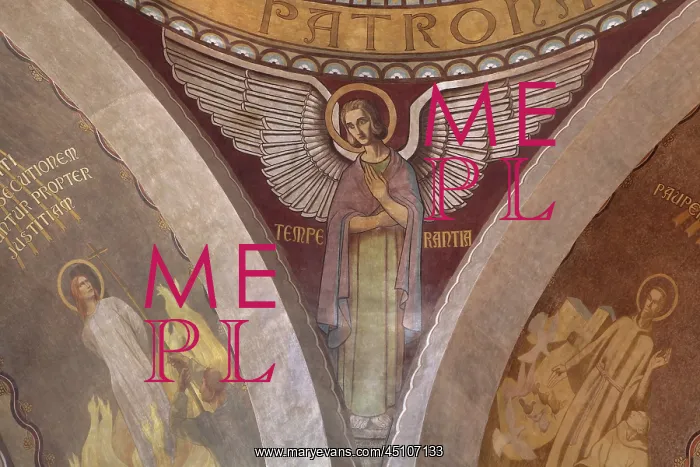 : Nanterre Cathedral : Nanterre Cathedral