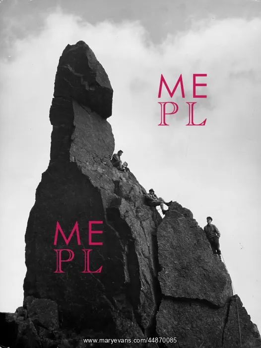 : NAPES NEEDLE : NAPES NEEDLE