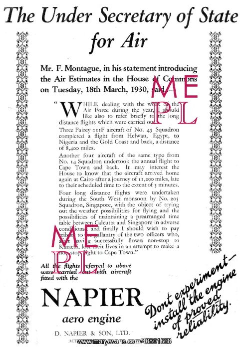 : Napier Aero Engines 1930 : Napier Aero Engines 1930