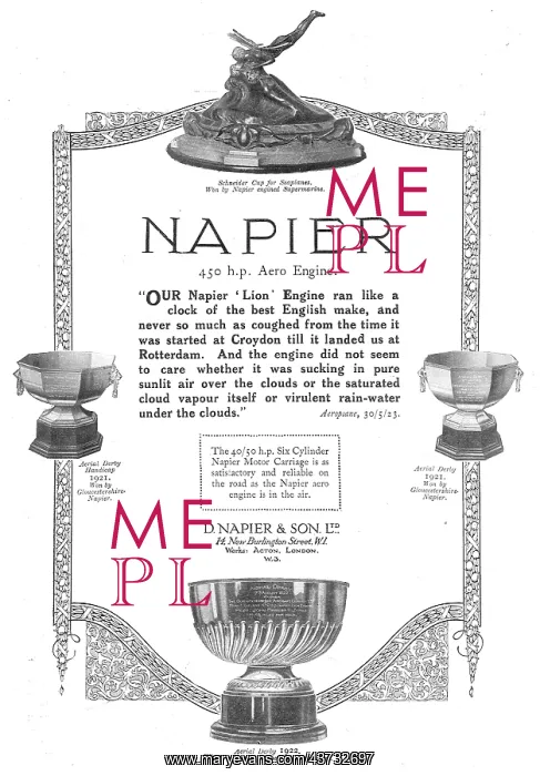 : The Napier Lion Aircraft Engine : The Napier Lion Aircraft Engine