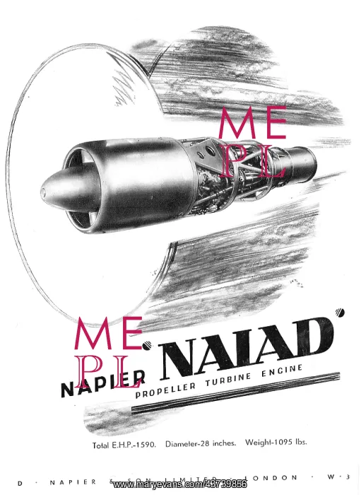  : Napier Naiad