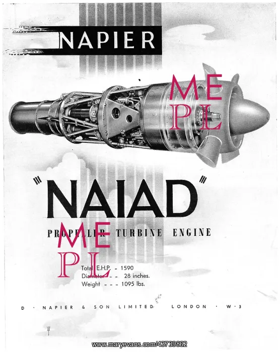  : Napier Naiad