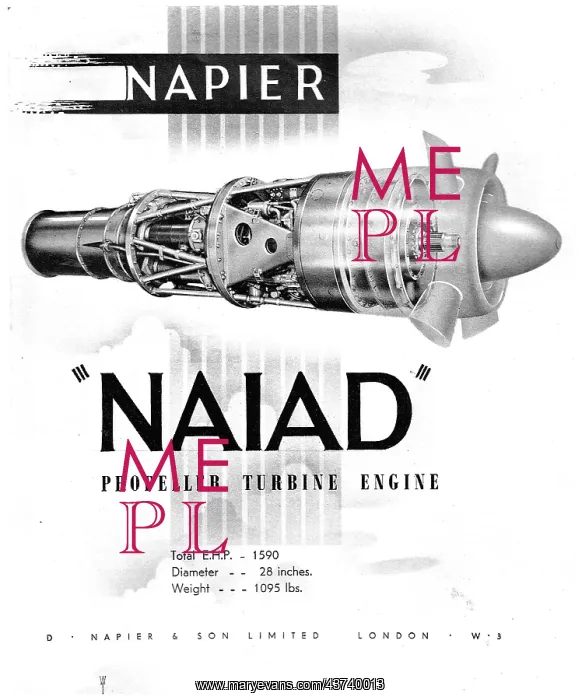  : Napier Naiad