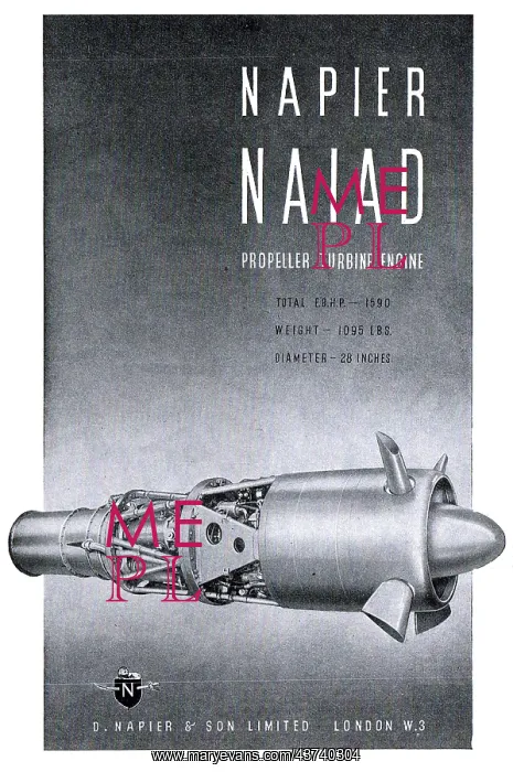  : Napier Naiad