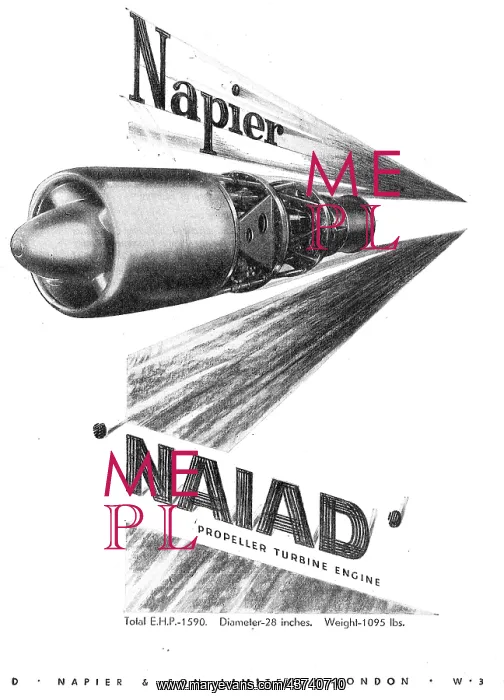  : Napier Naiad