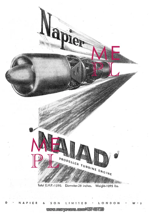  : Napier Naiad
