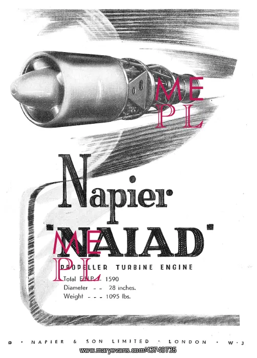  : Napier Naiad