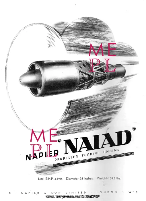 : Napier Naiad