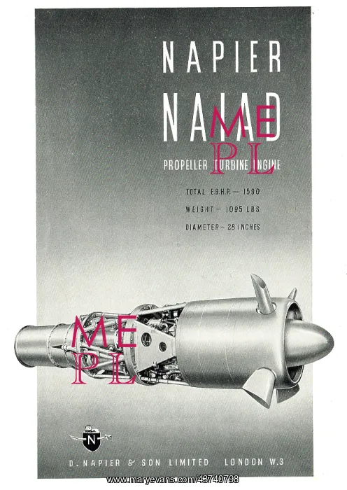  : Napier Naiad