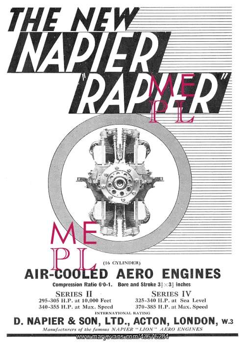  : Napier Rapier