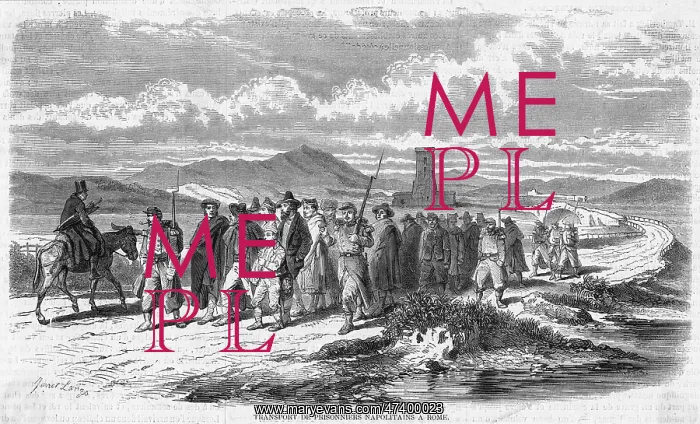 : NAPLES PRISONERS : NAPLES PRISONERS