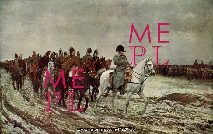 : NAPOLEON IN 1814 : NAPOLEON IN 1814