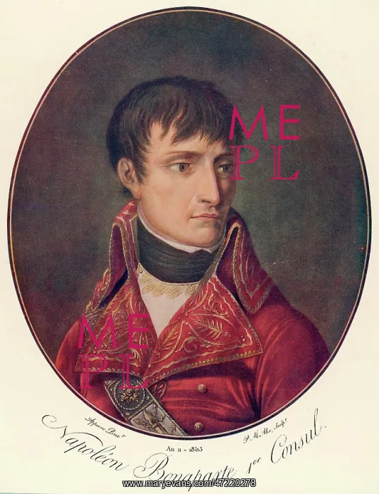  : NAPOLEON I (1769 - 1821), as First Consul