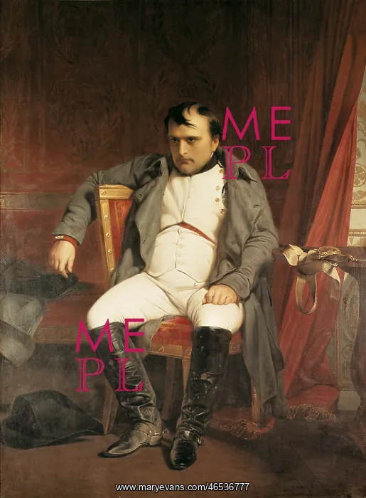 : Napoleon after his Abdication : Napoleon after his Abdication