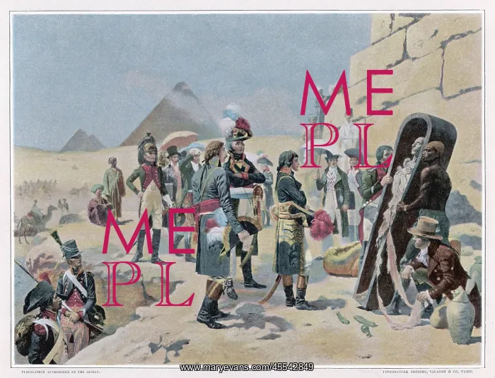 : Napoleon and Antiquities : Napoleon and Antiquities