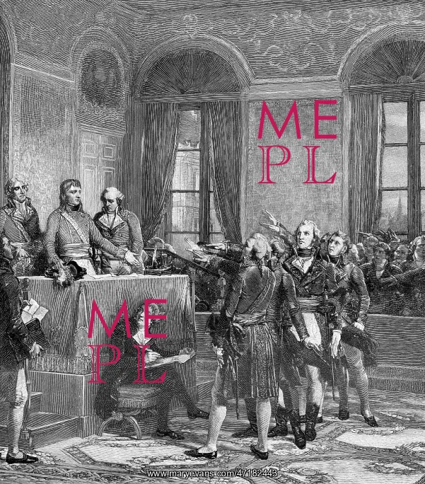 : NAPOLEON ASSUMES POWER : NAPOLEON ASSUMES POWER