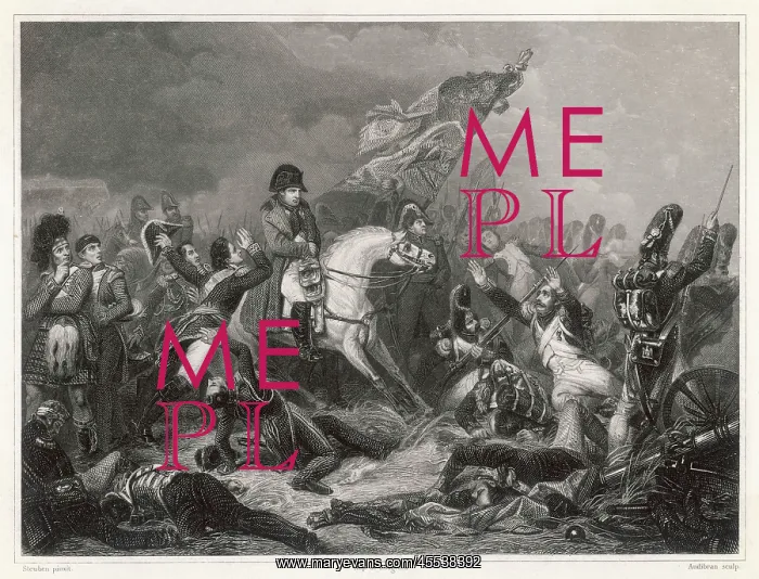 : Napoleon at the Battle of Waterloo : Napoleon at the Battle of Waterloo