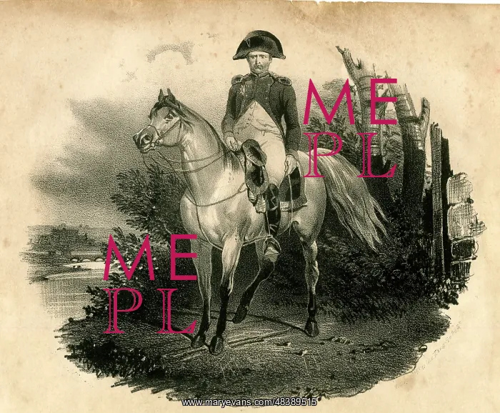 : Napoleon after the Battle of Waterloo : Napoleon after the Battle of Waterloo