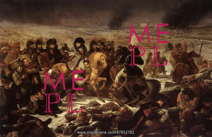: Napoleon on the Battlefield at Eylau on 9 February : Napoleon on the Battlefield at Eylau on 9 February