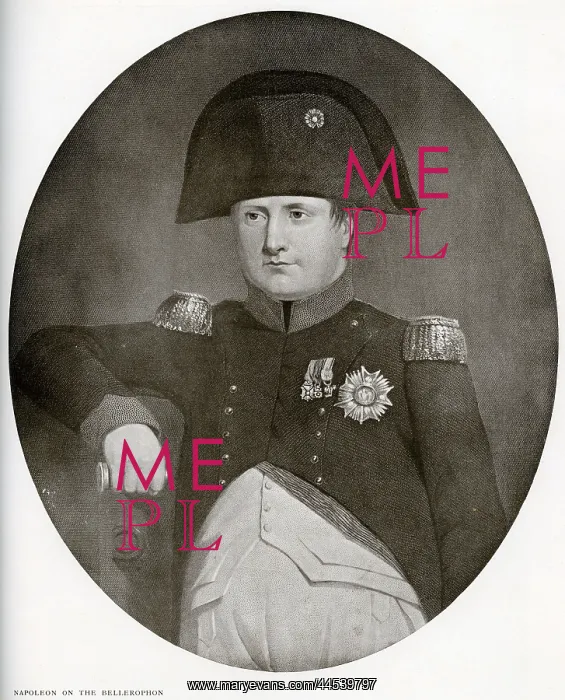  : Napoleon On The Bellerophon