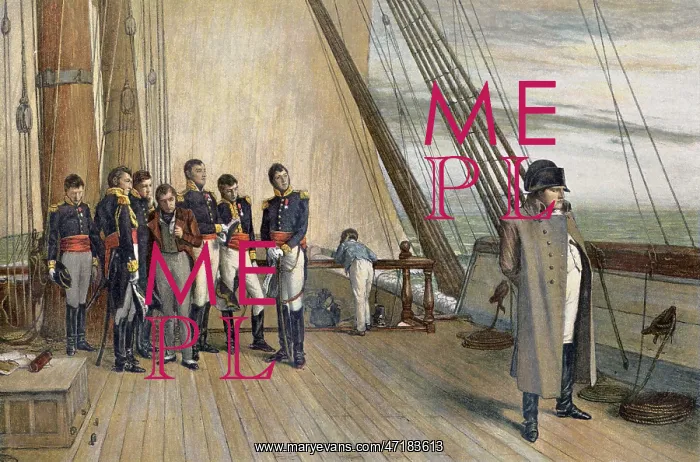 : Napoleon on Bellerophon : Napoleon on Bellerophon