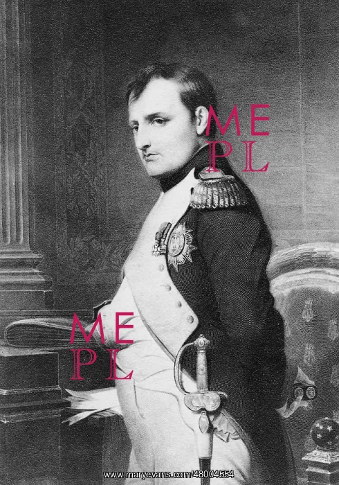 : Napoleon Bonaparte : Napoleon Bonaparte