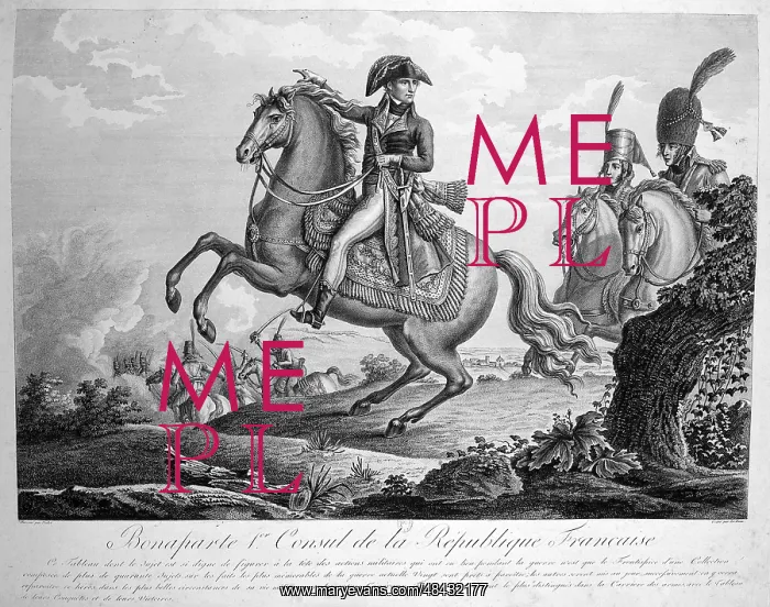 : Napoleon Bonparte (1769-1821) as First Consul : Napoleon Bonparte (1769-1821) as First Consul