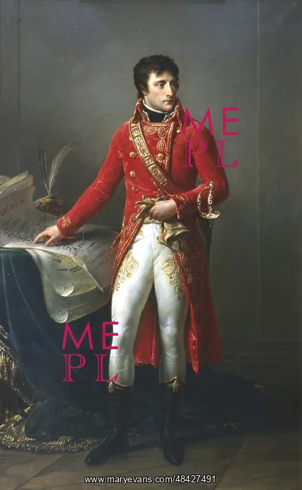 : Napoleon Bonparte as First Consul 1803. Napoleon : Napoleon Bonparte as First Consul 1803. Napoleon