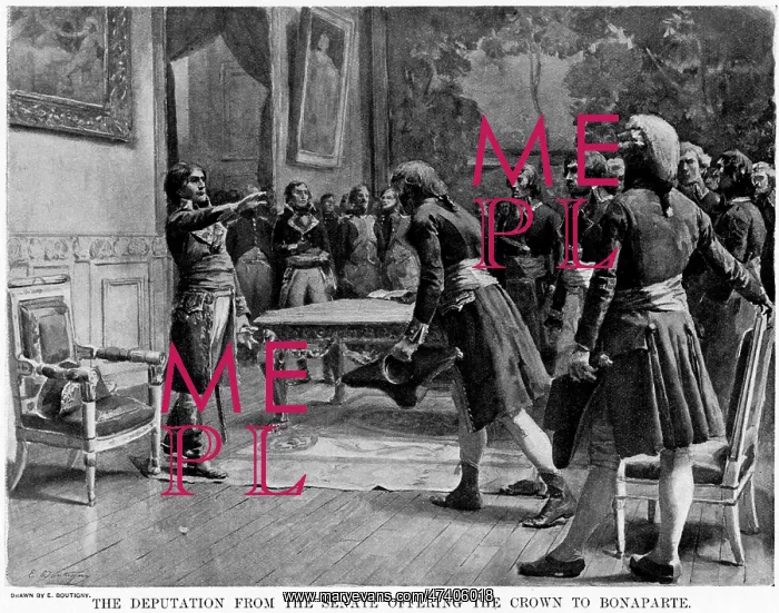 : NAPOLEON CROWNED : NAPOLEON CROWNED