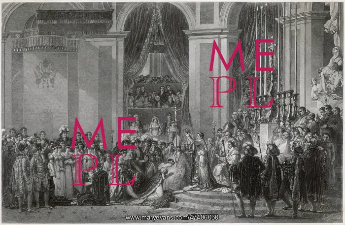 : NAPOLEON CROWNED : NAPOLEON CROWNED