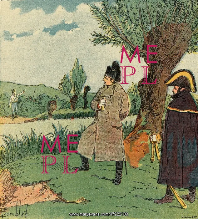 : NAPOLEON IN DANGER : NAPOLEON IN DANGER