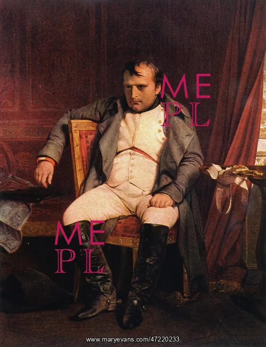  : Napoleon - Defeated