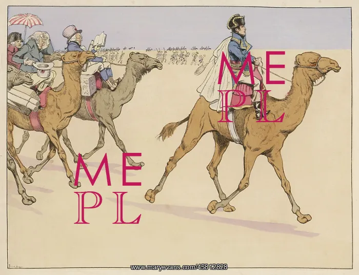 : NAPOLEON IN EGYPT : NAPOLEON IN EGYPT