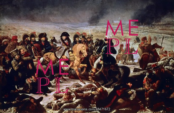 : Napoleon on the field of the battle of Eylau : Napoleon on the field of the battle of Eylau