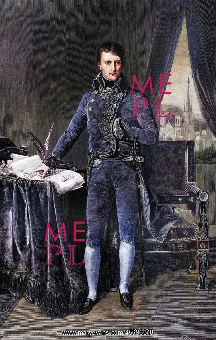 : NAPOLEON / FIRST CONSUL : NAPOLEON / FIRST CONSUL
