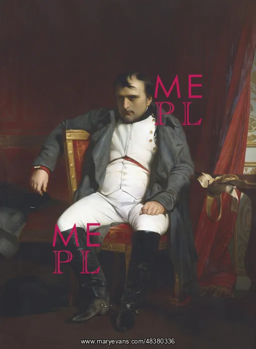 : Napoleon at Fontainbleau During the First Abdication : Napoleon at Fontainbleau During the First Abdication