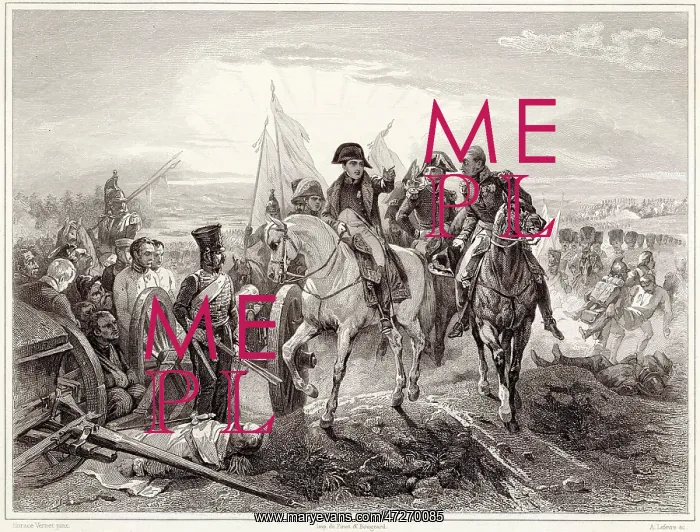: NAPOLEON AT FRIEDLAND : NAPOLEON AT FRIEDLAND