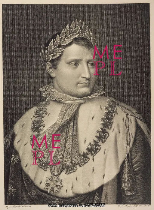 : NAPOLEON / FURSTEN : NAPOLEON / FURSTEN