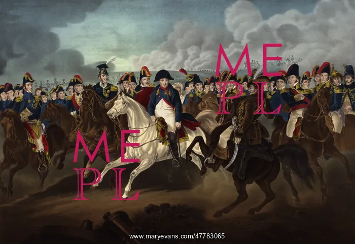 : Napoleon and His Generals : Napoleon and His Generals