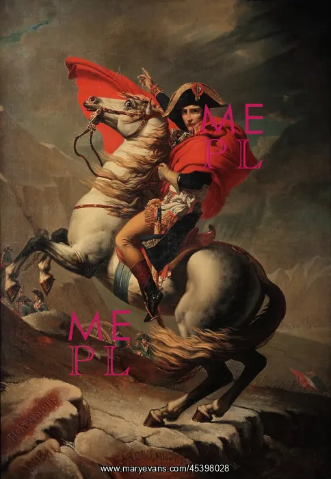 : Napoleon at the Great Saint Bernard, after J-L David : Napoleon at the Great Saint Bernard, after J-L David