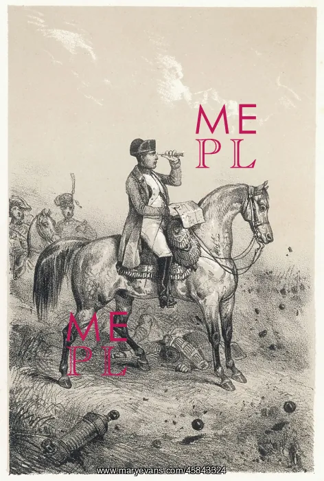 : NAPOLEON / HORSE ALI 1800 : NAPOLEON / HORSE ALI 1800