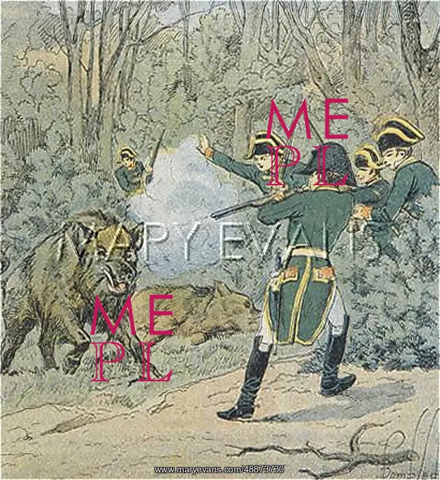 : NAPOLEON HUNTS BOAR : NAPOLEON HUNTS BOAR