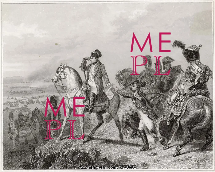  : NAPOLEON I AT WAGRAM