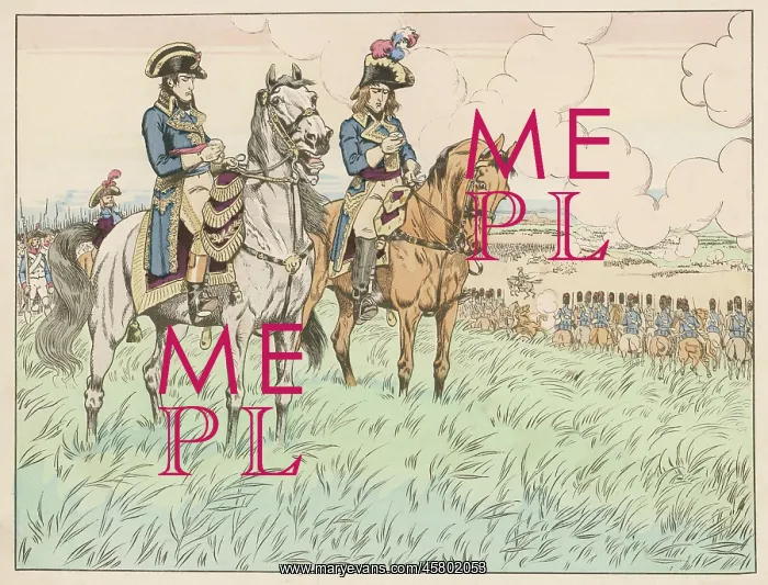  : NAPOLEON AT MARENGO