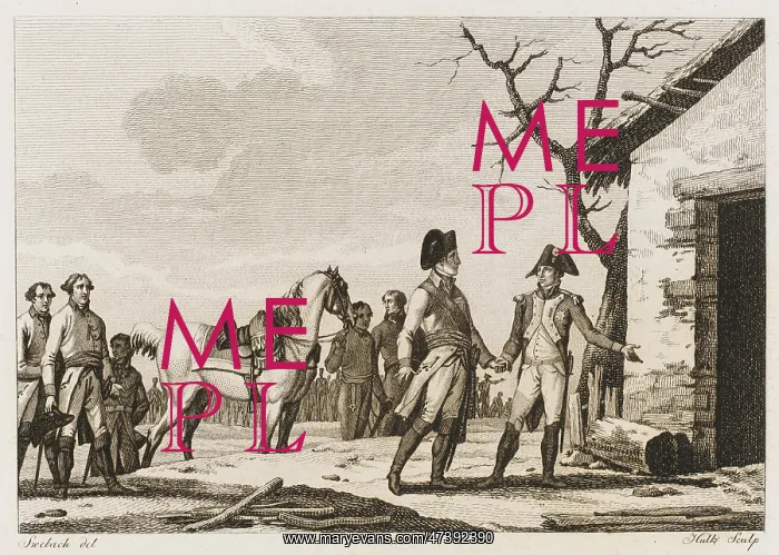 : NAPOLEON MEETS FRANZ II : NAPOLEON MEETS FRANZ II