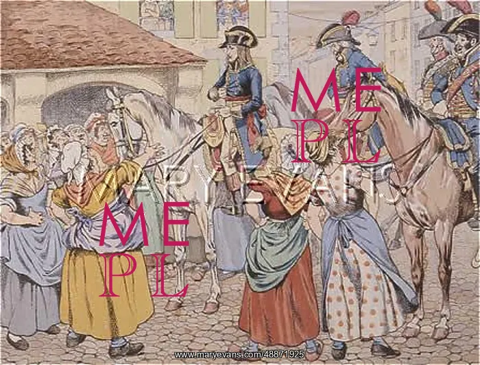 : NAPOLEON IN PARIS : NAPOLEON IN PARIS