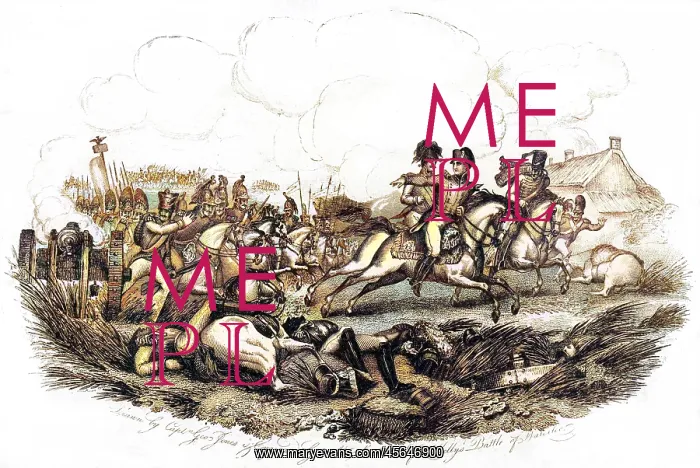 : NAPOLEON QUITS WATERLOO : NAPOLEON QUITS WATERLOO