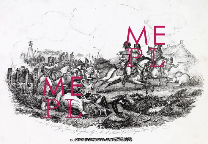 : NAPOLEON QUITS WATERLOO : NAPOLEON QUITS WATERLOO