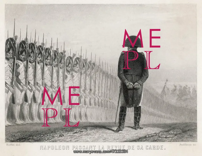  : NAPOLEON REVIEWING