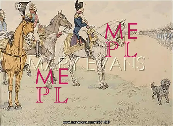 : NAPOLEON REVIEWS TROOPS : NAPOLEON REVIEWS TROOPS